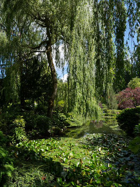 The Butchart Gardens