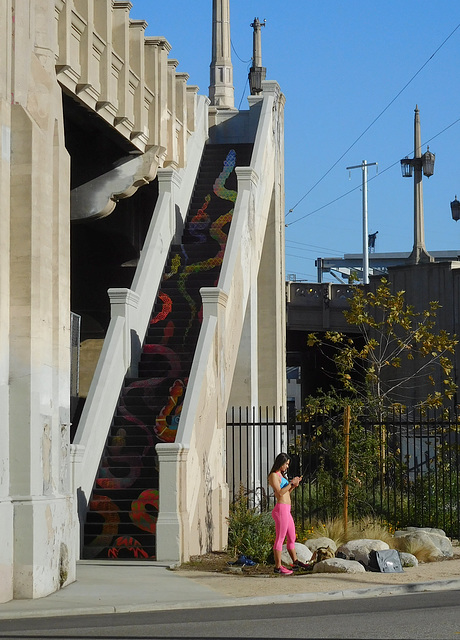 Los Angeles Arts District (#0443)