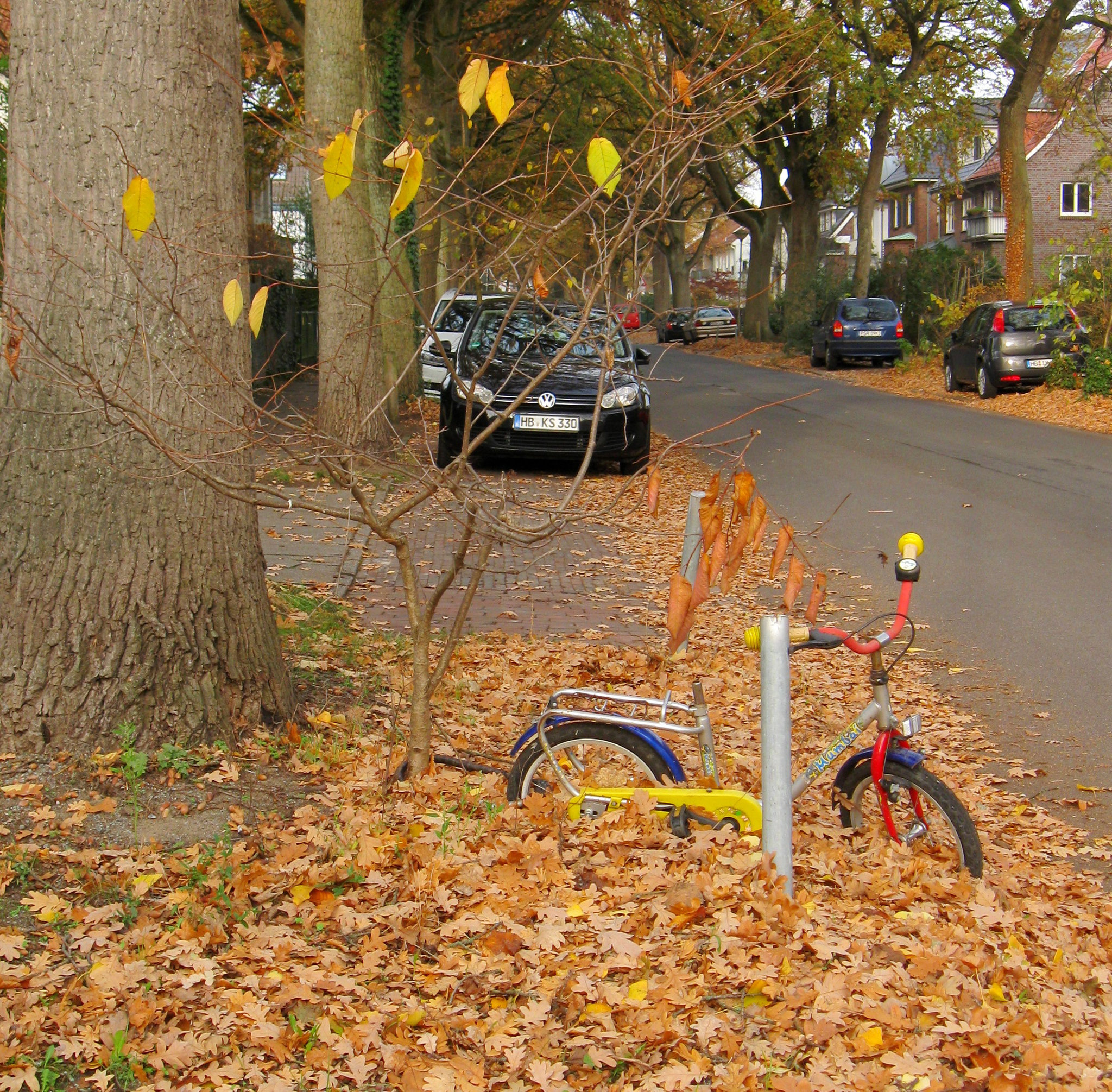 Bunt ist der Herbst...