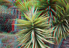 Plant Alcazaba Malaga 3D