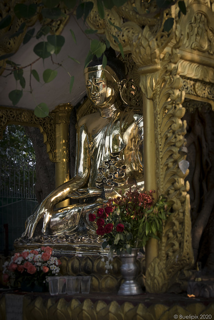 Szenen in der Shwedagon-Pagode (© Buelipix)