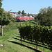 BÖ0026694