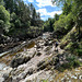 The Findhorn at Dulsie