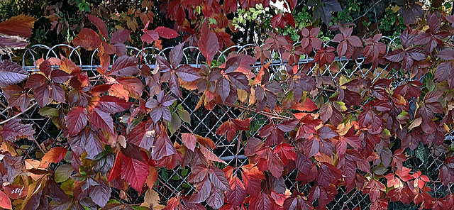 HFF im Herbst-Outfit