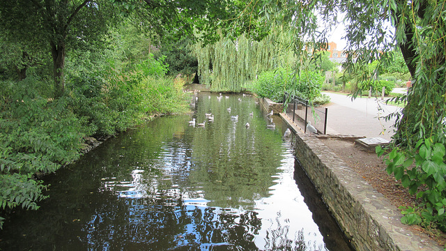 Taunton, Somerset