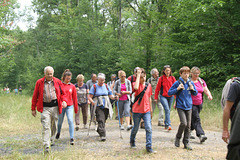 Randonnée Bombon-La Chapelle Gauthier-Bombon  - 20/06/2015