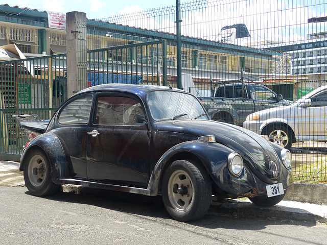 A Beetle in Roseau (1) - 15 March 2019