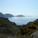 Niarbyl