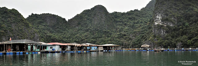 Halong Bay Vietnam 2016 3xPiP