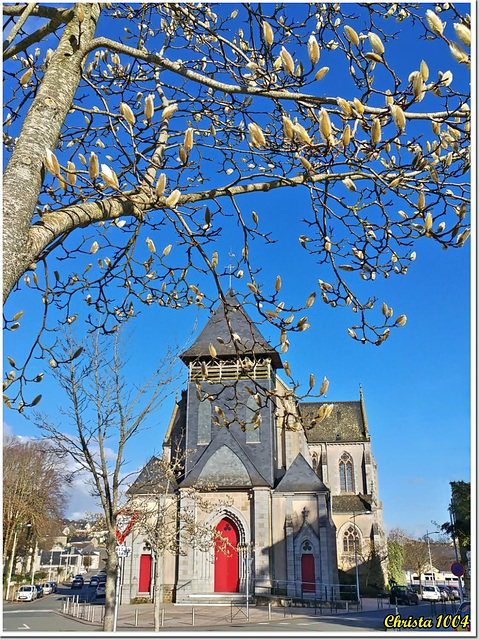 Bienvenue aux magnolias Bienvenue aux magnolias