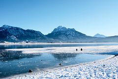 Bei uns in Oberbayern