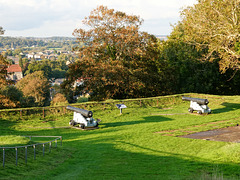 Keeping us safe at Carisbrooke Castle