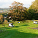 Keeping us safe at Carisbrooke Castle