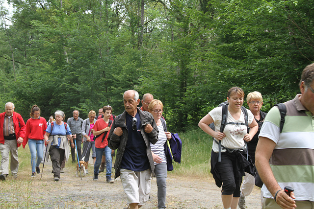 Randonnée Bombon-La Chapelle Gauthier-Bombon  - 20/06/2015