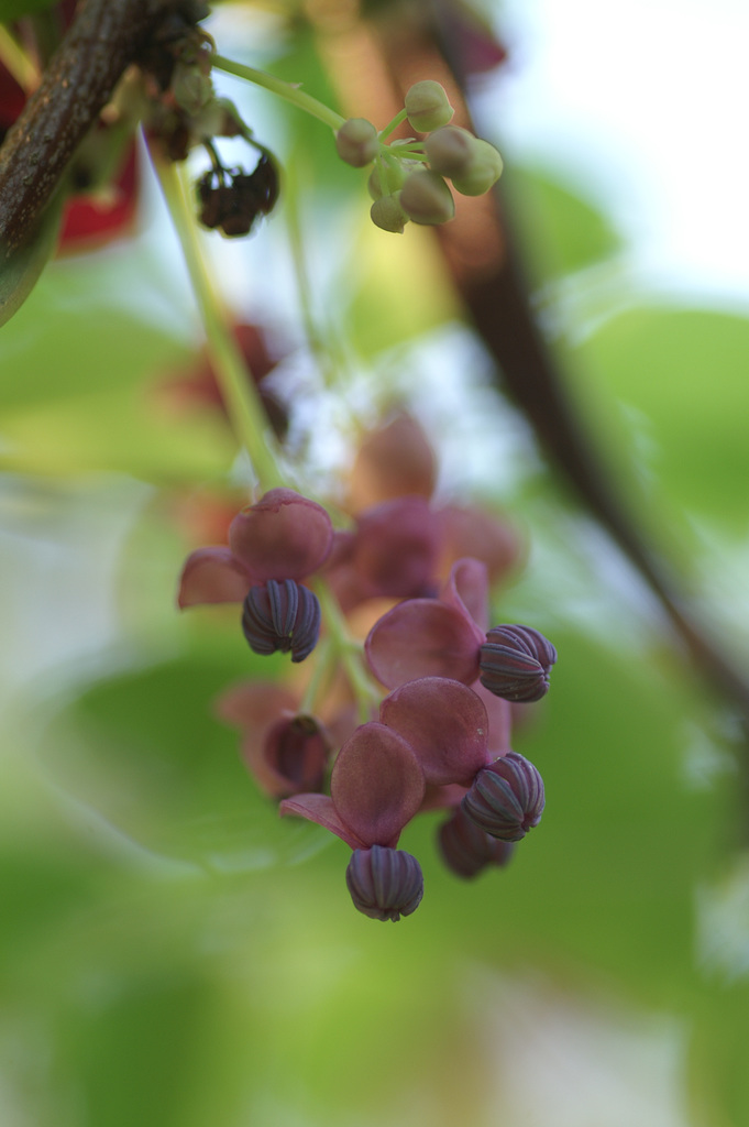 PICT0031