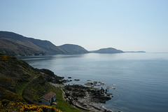 Niarbyl