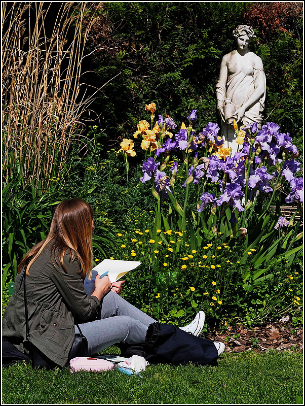 Le jardin des iris