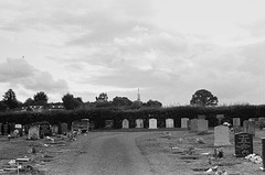 Welwyn cemetery (1)