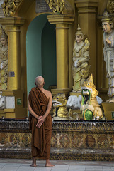 Szenen in der Shwedagon-Pagode (© Buelipix)