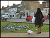 Cowley Road pigeons