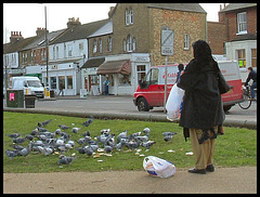 Cowley Road pigeons