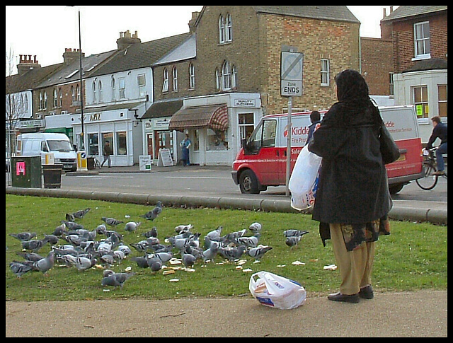 Cowley Road pigeons