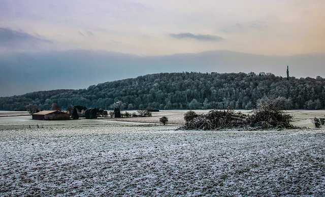 Winter in der Wetterau