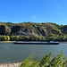 DE - Andernach - Am Ufer des Rheins