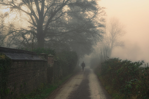 Der...  aus dem Nebel kam