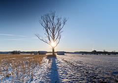 Licht und Schatten