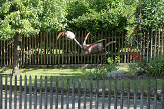 Was ist das für ein Thierling? (HFF) Was ist das für ein Thierling? (HFF)