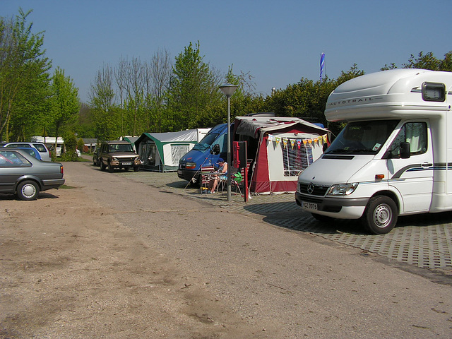 delfts-hout-2 45244435094 o