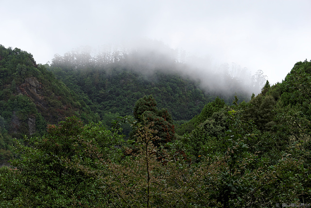 Aussicht bei Ribeiro Frio (© Buelipix)