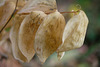 DSCF0883