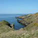 Shoreline At Niarbyl