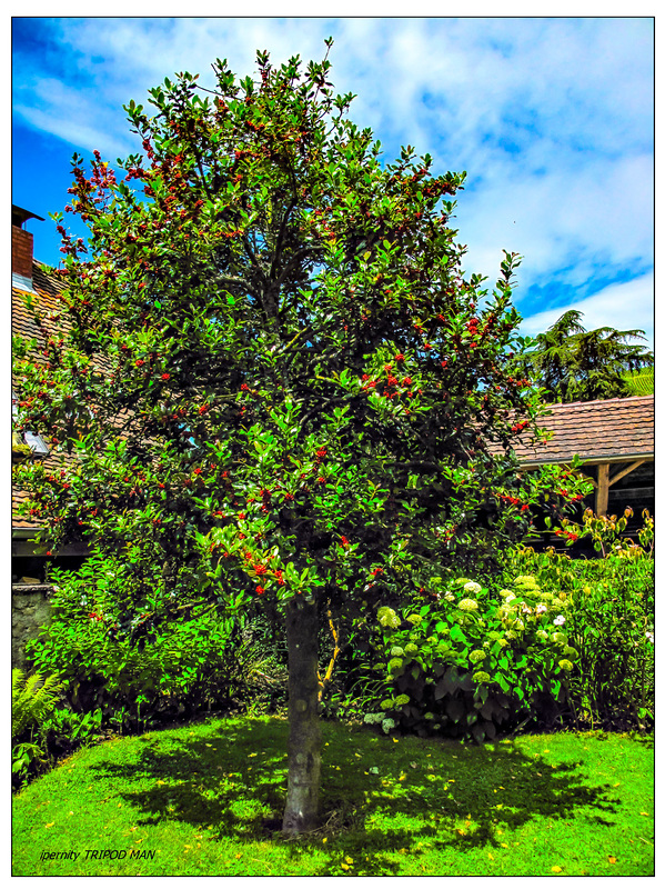 Gartenfreude