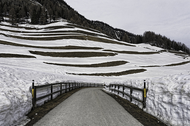 HFF ... with a wintry picture from Samedan, Engadin/Switzerland (© Buelipix)