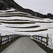 HFF ... with a wintry picture from Samedan, Engadin/Switzerland (© Buelipix)