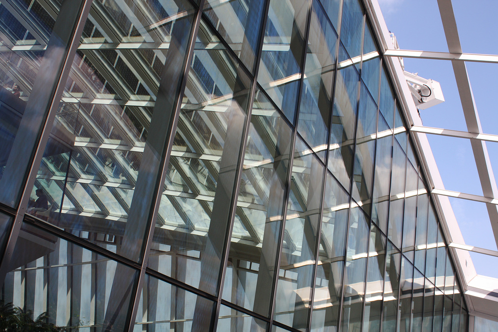 Sky Garden reflections