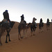Morocco Sahara desert