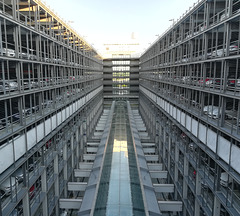 cage-rearing