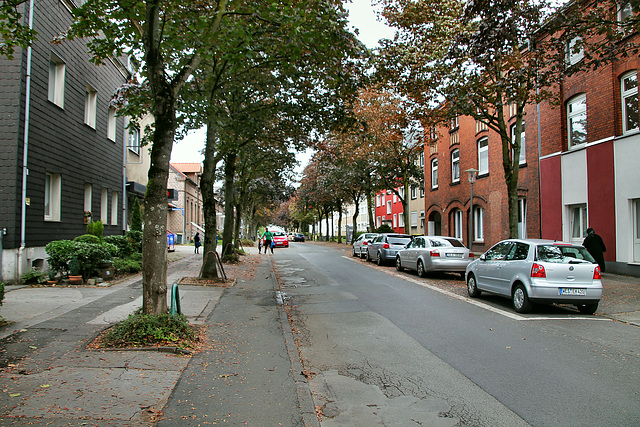 Kiebitzheidestraße (Gladbeck) / 22.09.2018