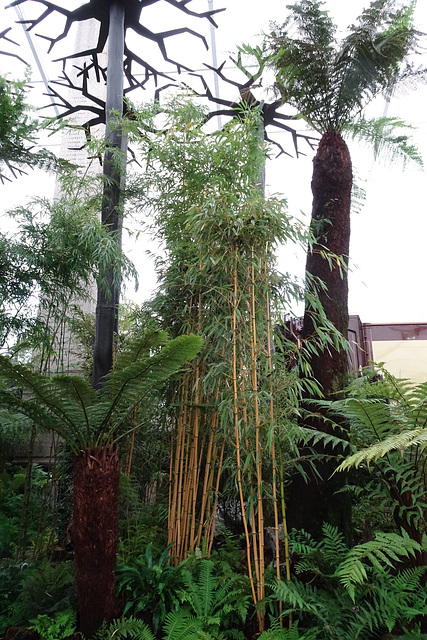 Chelsea Flower Show 2016