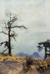 end of the trail