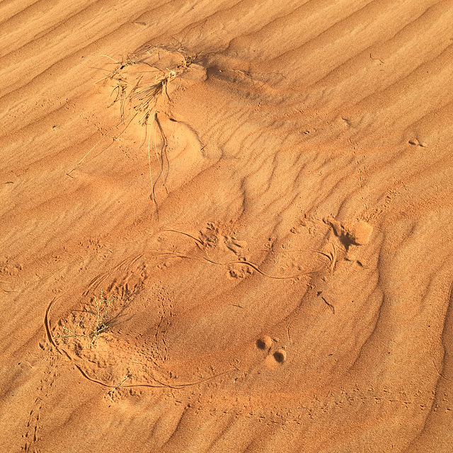 Sand abstract III.