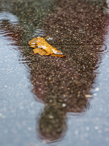 Autumn (27.09.2022)