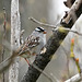 DSC04345a