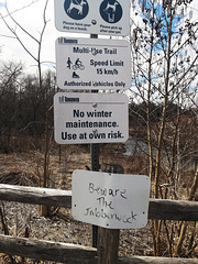 beware the jabberwock-IMG 20240331 125518 beware the jabberwock-IMG 20240331 125518