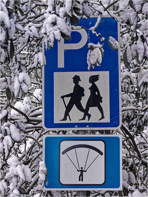 Dedicated Parking Dedicated Parking