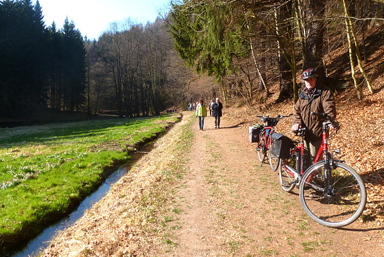 Radfahren im Frühling - Polenztal - Märzenbecher - Bastei